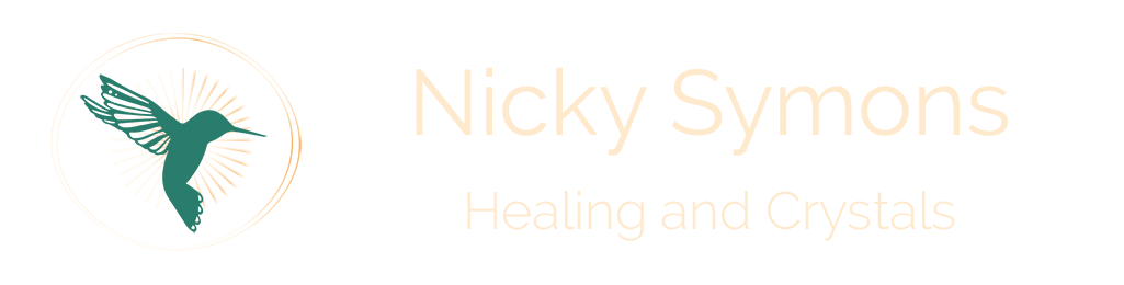 Nicky Symons Logo