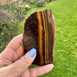 Tiger Eye Part Polished