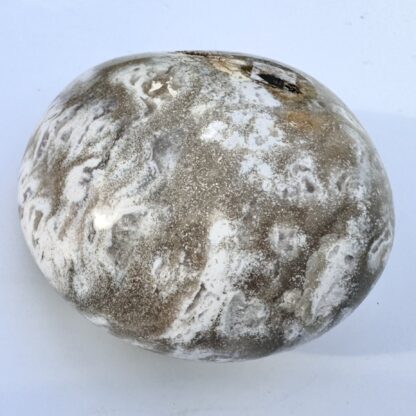 Ocean Jasper Palm Stone - Image 4