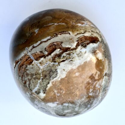 Ocean Jasper Palm Stone