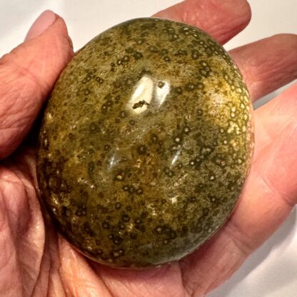 Ocean Jasper Palm Stone - Image 3