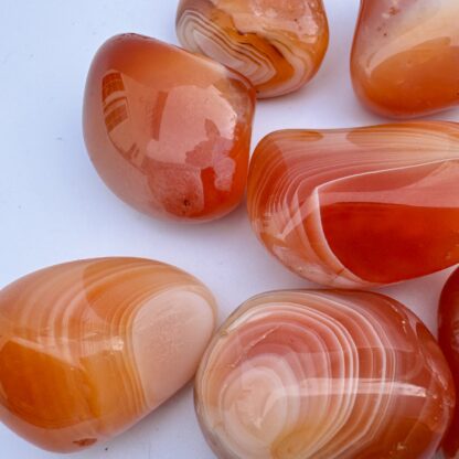 Large High-Grade Carnelian Tumblestones - Image 3