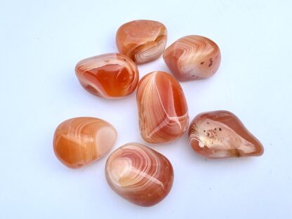 Large High-Grade Carnelian Tumblestones - Image 5