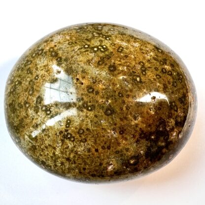 Ocean Jasper Palm Stone - Image 4