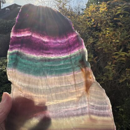 Rainbow Fluorite Polished Slice - Image 2