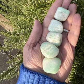 Pastel Green Amazonite Tumblestones Large