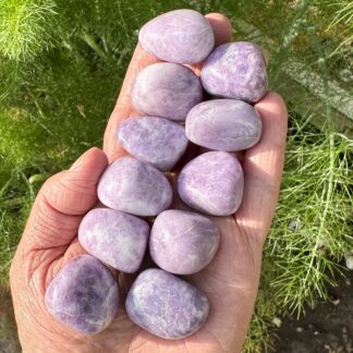Lilac Lepidolite Premium Grade Tumblestones