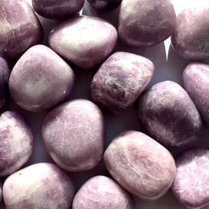 Lilac Lepidolite Premium Grade Tumblestones - Image 2