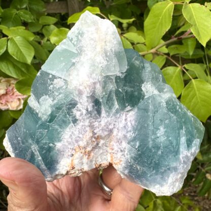 Green Fluorite Crystal 11cm - Image 4