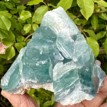 Green Fluorite Crystal 11cm