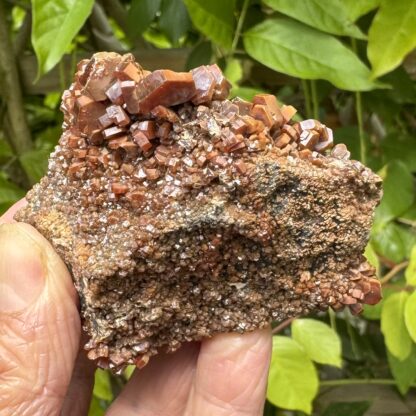 Vanadinite Crystal Cluster - Image 2