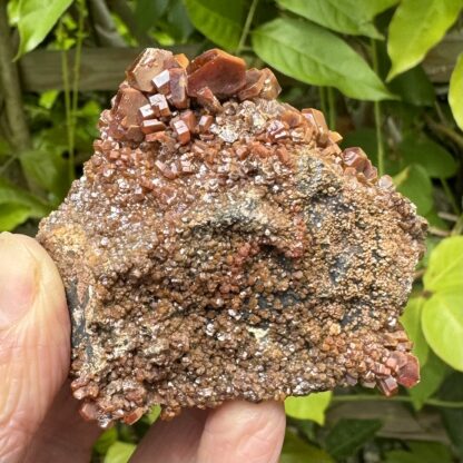 Vanadinite Crystal Cluster - Image 3