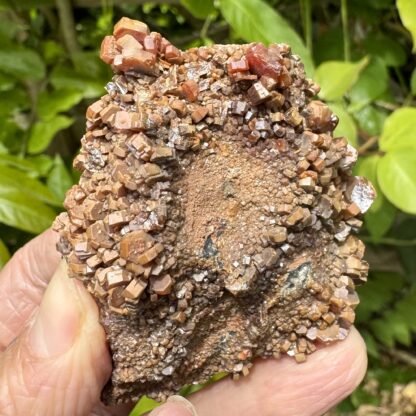 Vanadinite Crystal Cluster - Image 6