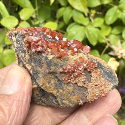 High Quality Vanadinite Crystals - Image 5