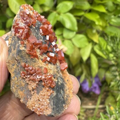 High Quality Vanadinite Crystals - Image 4
