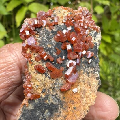 High Quality Vanadinite Crystals - Image 2
