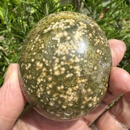 Ocean/Sea Jasper Palm Stone