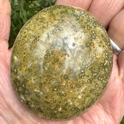 Ocean/Sea Jasper Palm Stone - Image 2