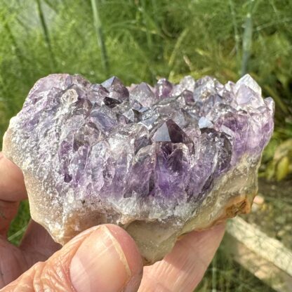 Uruguayan Amethyst Raw Cluster - Image 4