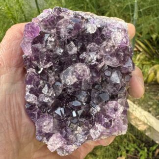 Uruguayan Amethyst Cluster
