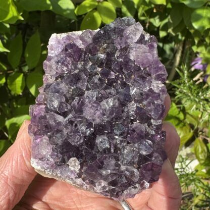Uruguayan Amethyst Raw Cluster - Image 12