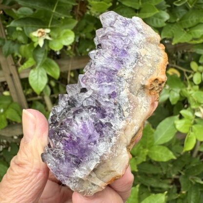 Uruguayan Amethyst Raw Cluster - Image 10