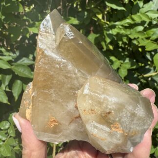 Stellar Beam Dog Tooth Calcite