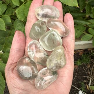 Chlorite In Quartz Tumblestones