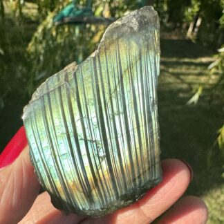 Labradorite Part-Polished