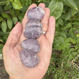Lepidolite With Pink Tourmaline Flat Pebbles