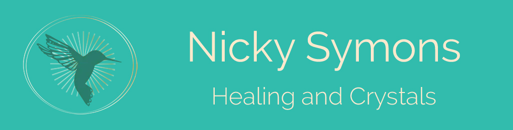 Nicky Symons Logo
