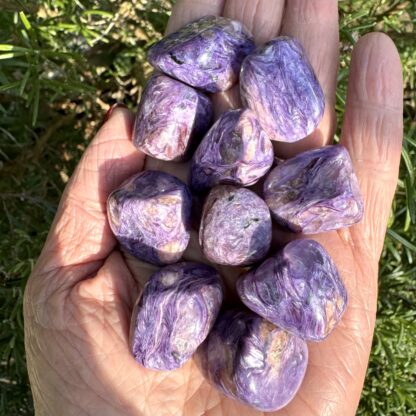 Charoite Tumblestone AAA Quality - Image 3