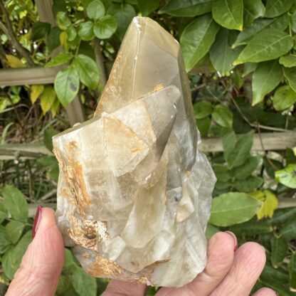 Stellar Beam (Dog Tooth) Calcite - Image 4