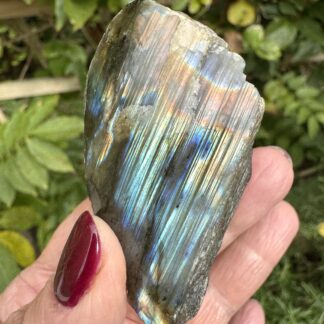 Part Polished Labradorite