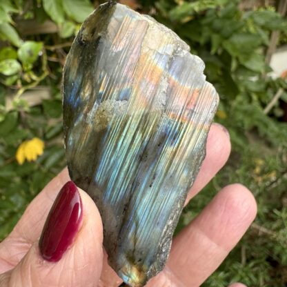 Part Polished Labradorite - Image 4