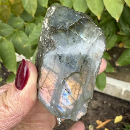 Labradorite Raw And Polished - Image 2