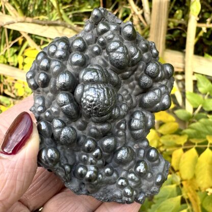 Botryoidal Goethite And Hematite