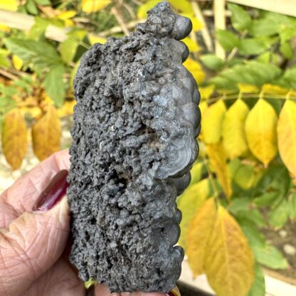 Botryoidal Goethite And Hematite - Image 5