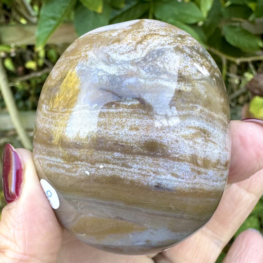 Sea Jasper Palm Stone - Image 3