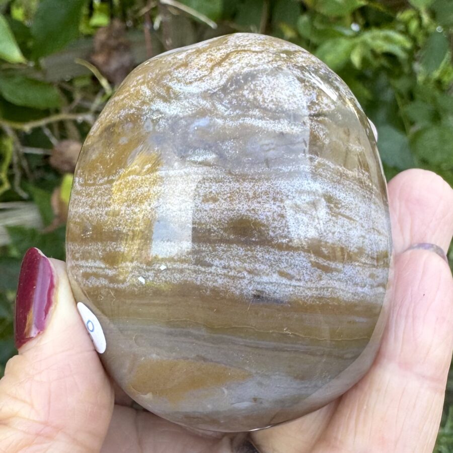 Sea Jasper Palm Stone - Image 2