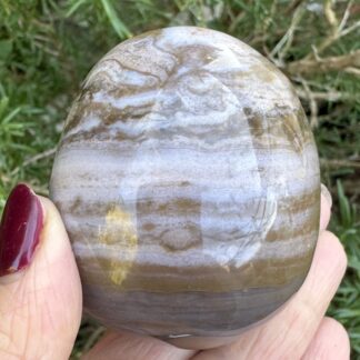 Sea Jasper Palm Stone