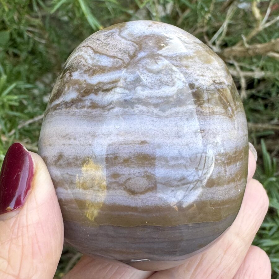 Sea Jasper Palm Stone
