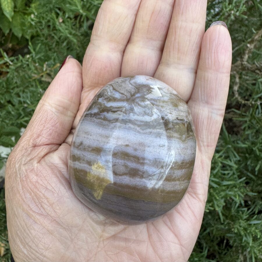 Sea Jasper Palm Stone - Image 4