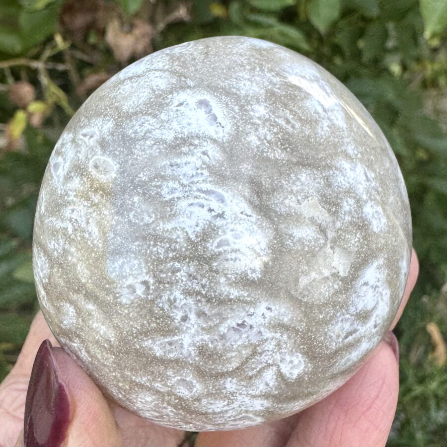 Sea Jasper Palm Stone