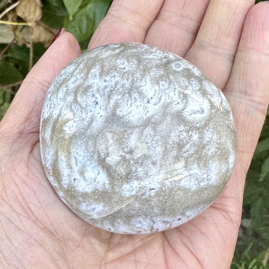 Sea Jasper Palm Stone - Image 3
