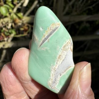 Polished Variscite