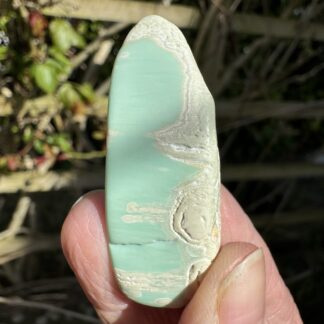 Polished Variscite