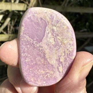 Rare Phosphosiderite Disc